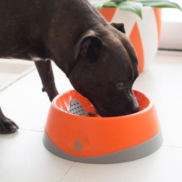 Produktbild LickiMat Hundenapf OH Bowl M 23cm (0.50 l)