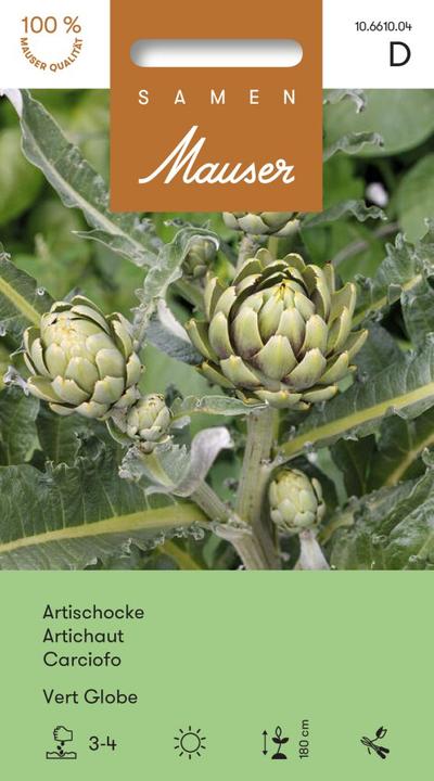 Produktbild Samen Mauser Artischocke Vert Globe (Gemüsesamen)