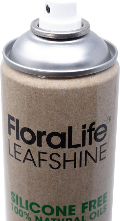 Produktbild Oasis FLORALIFE® Blattglanz