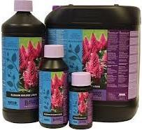 Actual product image Atami B'cuzz Blossom Builder 5 litres (5 l)