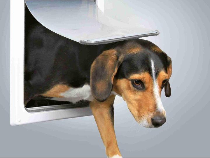 Produktbild Trixie 2-Wege Freilauftür (Manuelle Katzenklappe)