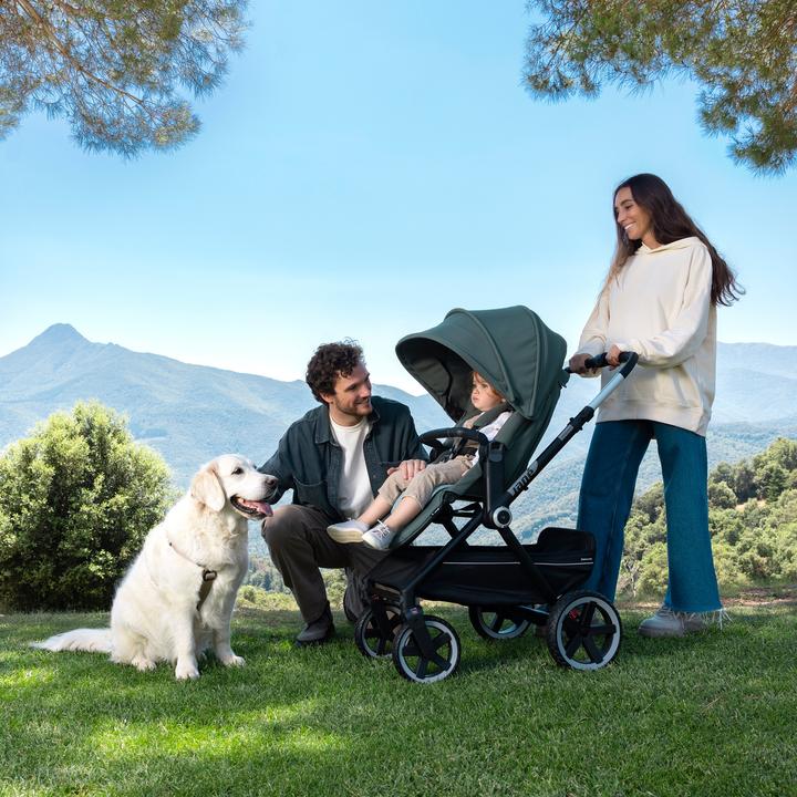 Actual product image Jané Buggy Crosslight