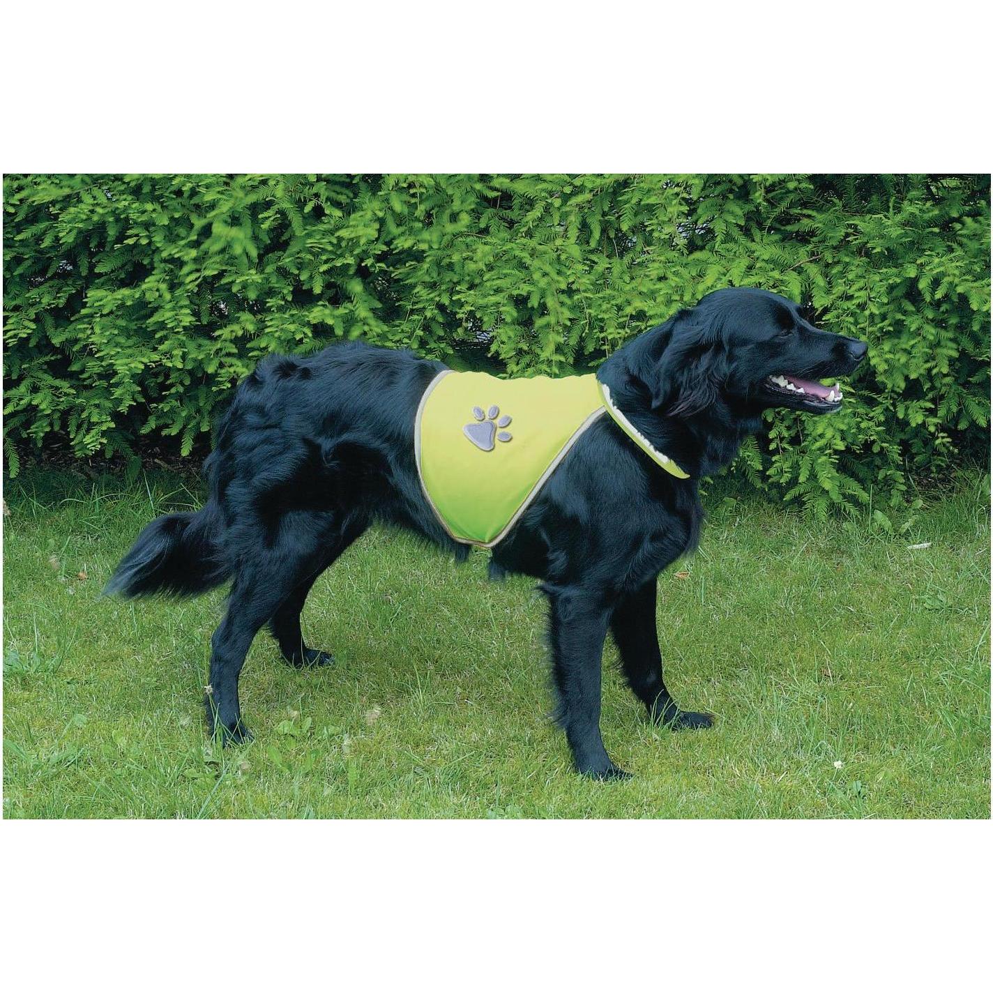 Thumbnail - Trixie Sicherheitsweste für Hunde (XS, Hundeweste), Hundebekleidung