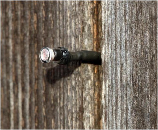 Kerbl Lichtsensor voor automatische kippendeur