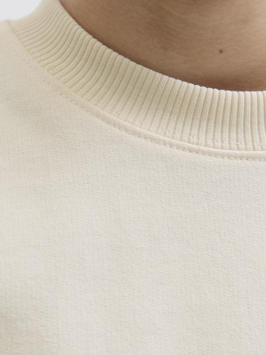 Actual product image Jack & Jones Junior Pullover MEADOWS Sweatshirt (164)