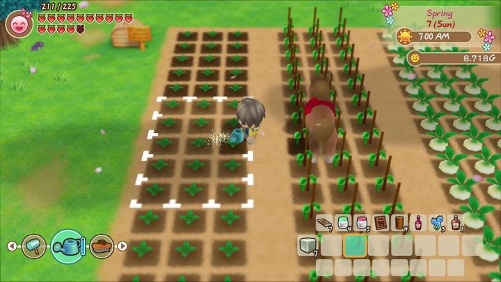 Actual product image Marvelous Story of Seasons: Friends of Mineral Town (Switch, DE)