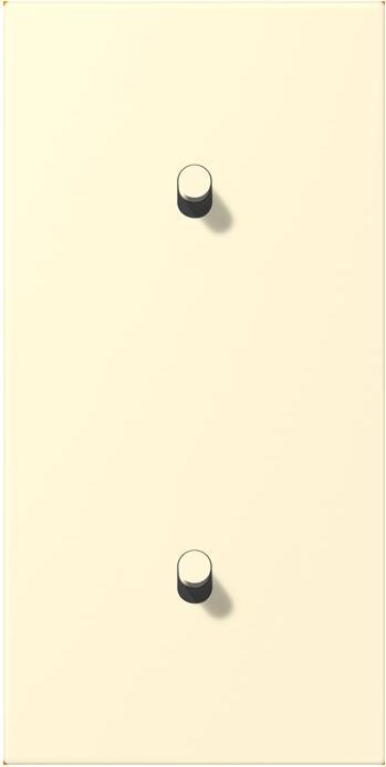 Actual product image JUNG Cover with toggle lever