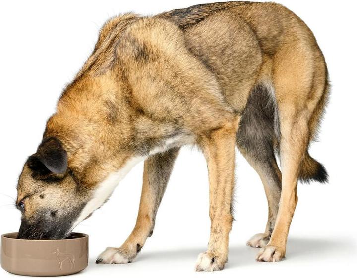 Produktbild Hunter Futternapf für Hunde OSBY Beige aus Keramik 1,1 L (110 cl)