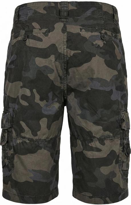 Image du produit Brandit Ty Shorts (M)