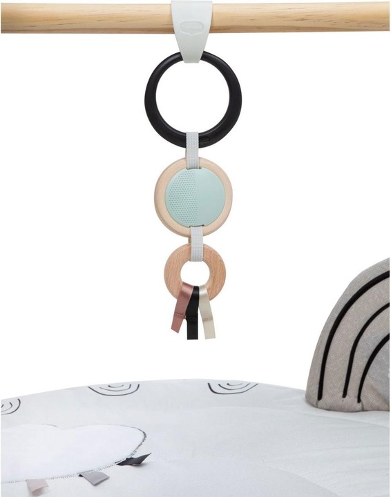 Immagine prodotto Tiny Love Gymini Luxe