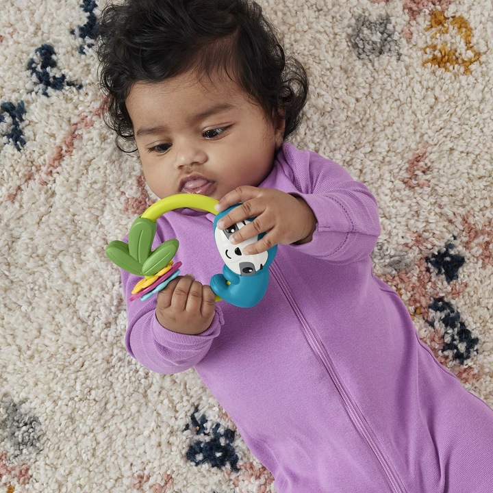 Immagine prodotto Fisher-Price Anelli da dentizione con attività animali assortiti