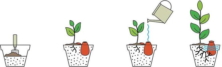 Immagine prodotto WePot Olla M