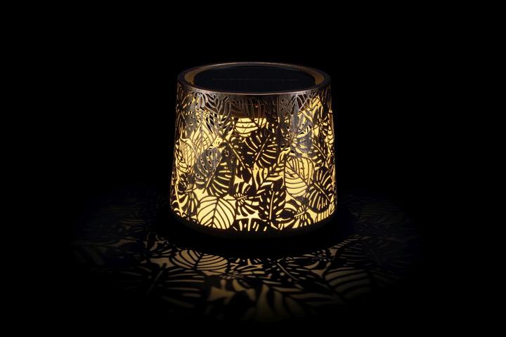 Produktbild STT Solar Antic Mini Jungle