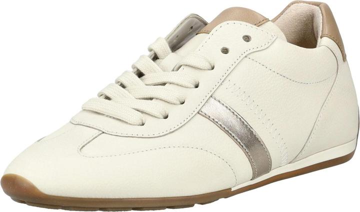 Latte, Puder, Steppa