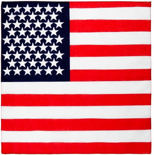 Produktbild Fortura Usa