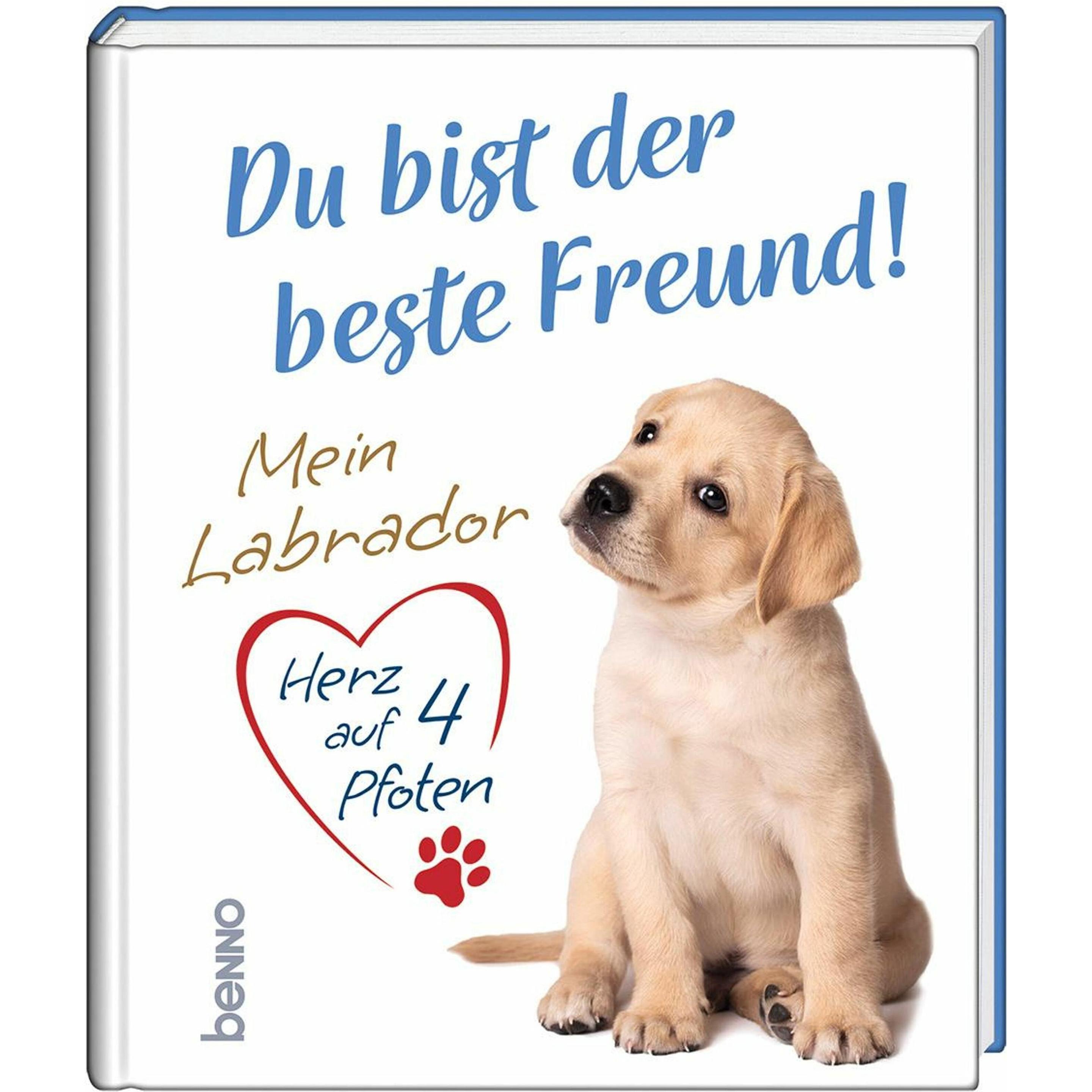 Du bist der beste Freund!, Belletristik