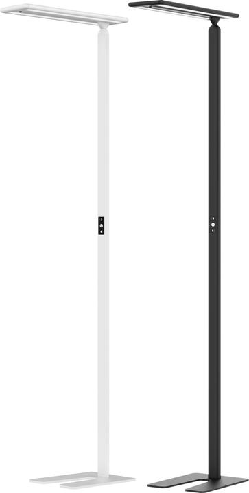 Image du produit Hansa Lampe sur pied à diodes LED Larimar, capteur tactile, hauteur 1997 mm, blanc. (4700 lm)