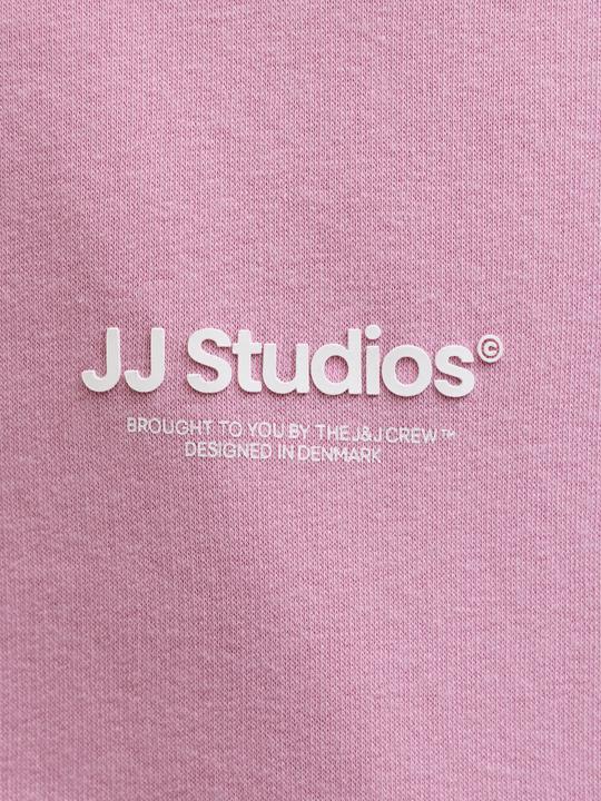 Produktbild Jack & Jones Gedruckt Kapuzenpullover Junior Kapuzenpullover (128)