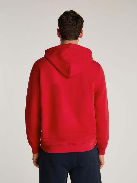 Productafbeelding Tommy Jeans Tjm Reg Linear Logo Hoodie Ext (L)