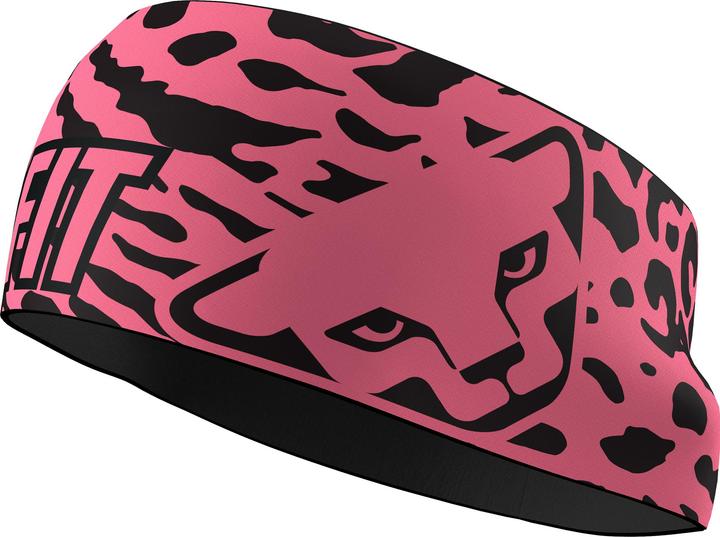 Actual product image Dynafit Graphic Performance Stirnband