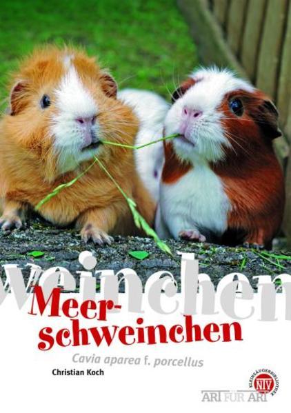 Produktbild Meerschweinchen (Deutsch, Christian Koch, 2023)