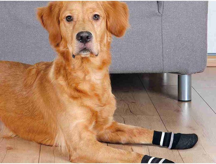 Actual product image Trixie Dog socks L-XL (L, XL, Dog socks)