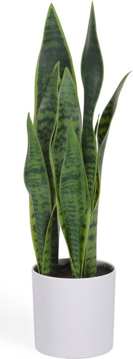 Immagine prodotto Kave Home Sansevieria (55 cm)