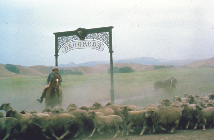 Actual product image The Thorn Birds What Women Watch (DVD, 1983, German, Spanish, English)