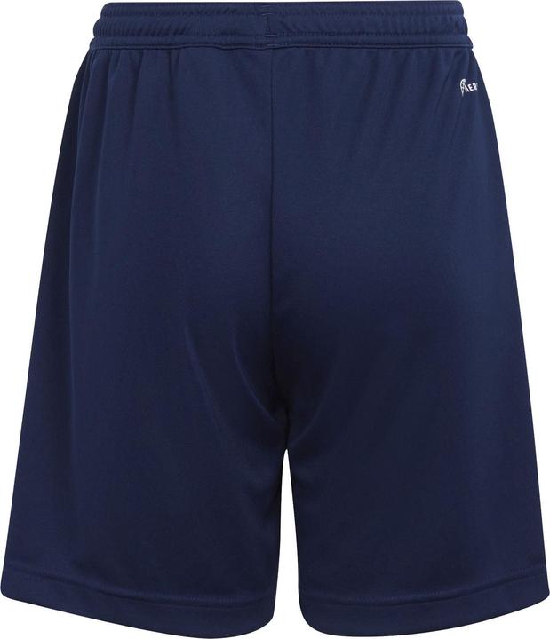 Actual product image adidas Entrada 22 Shorts (140)