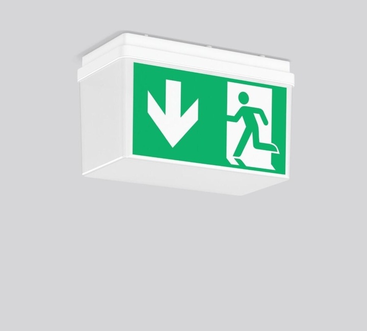 Actual product image RZB LED escape sign luminaire