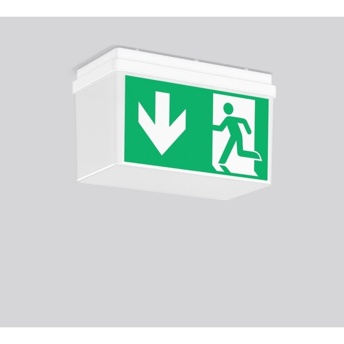 RZB, Sicherheitskennzeichnung, LED-Rettungszeichenleuchte