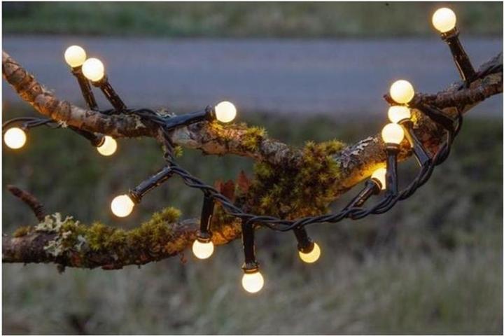 Actual product image Star Trading Berry Mini (6 m)