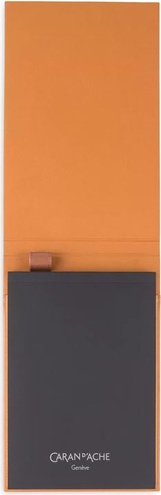 Image du produit Caran d'Ache Lederhülle (A5, À rayures, Couverture souple)