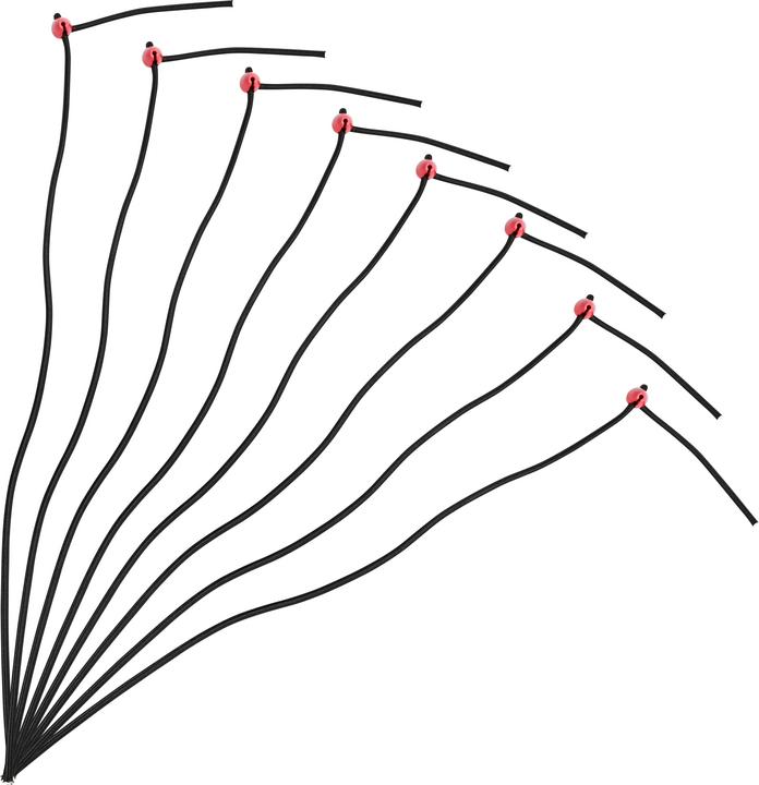 Actual product image Benson Elastic with quick-closure 5 mm x 60 cm 8 pieces (8 pcs.)