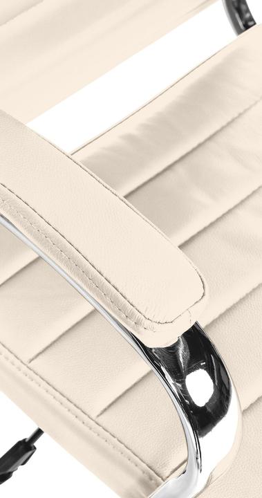 Actual product image CLP Mollis