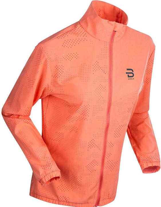 Actual product image Daehlie W Jacket Intensity (S)