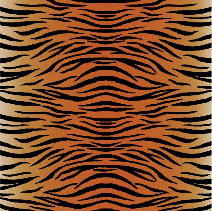 Produktbild Cricut Aufbügelfolie Infusible Ink Leopard 30.5 x 30.5 cm, 4 Stück