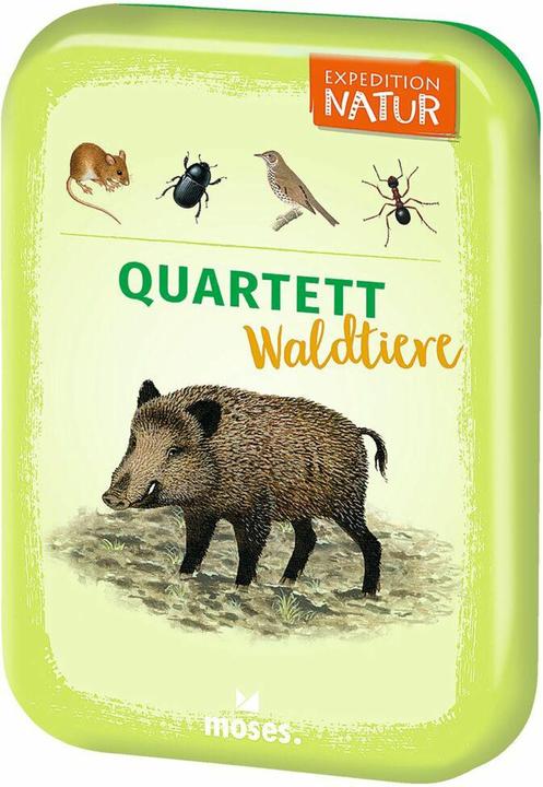 Actual product image Expedition Nature Quartet Forest Animals (German, 3 - 5 Players)