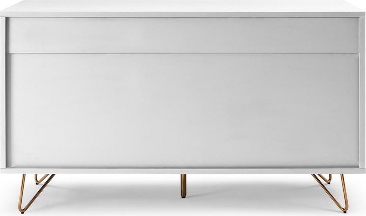 Produktbild SalesFever Charlie (120 x 40 x 70 cm)