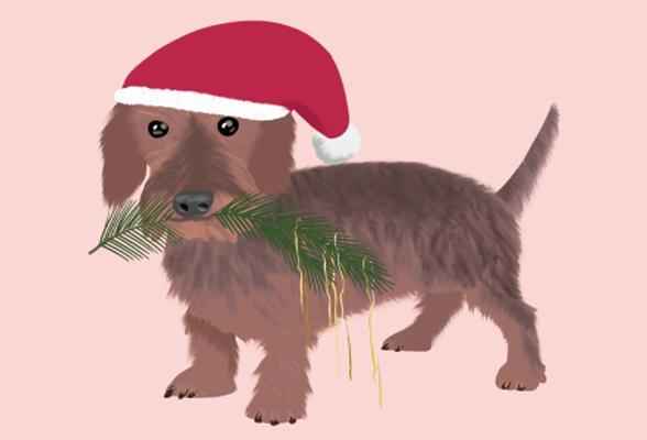 Nobis design Postcard St Klaus dog A6 (1 pcs.)