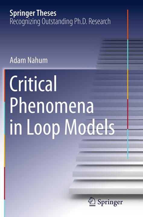 Immagine prodotto Critical Phenomena in Loop Models (Adam Nahum, 2016)