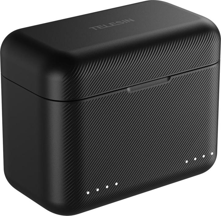Telesin dual-channel charger for Insta360 X3 (Insta360 X3)