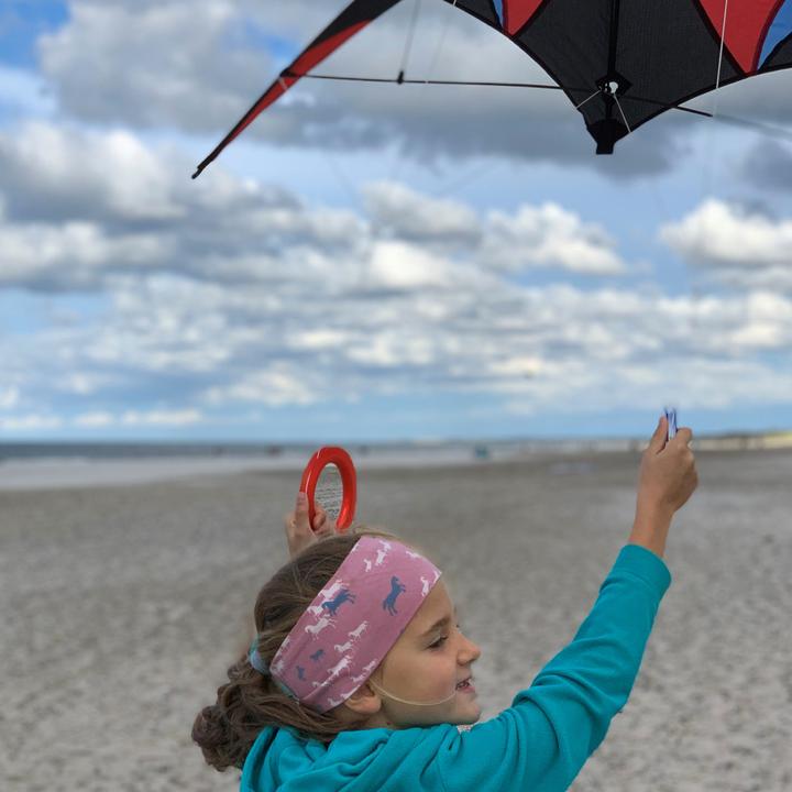 Produktbild Schildkröt Stunt Kite