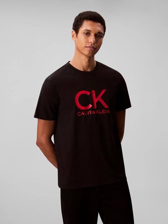 Actual product image Calvin Klein Graphic Tee (L)