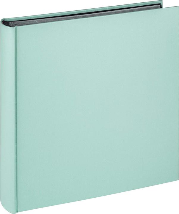Couleur menthe