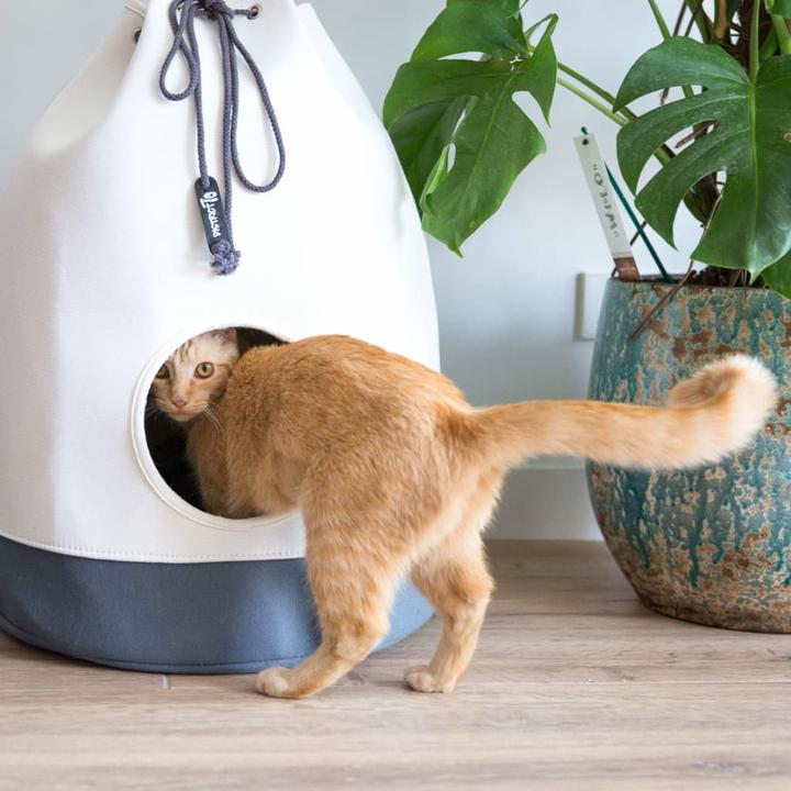 Image du produit District 70 Cave à câlins Casa, gris foncé (Chat, Chien)