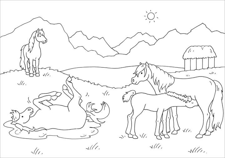 Actual product image Tessloff Metallic Sticker Colouring Book. Horses