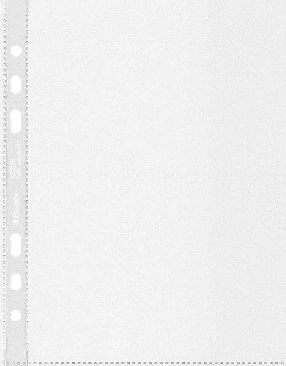 Image du produit Leitz Pochette à prospectus (A5, 100x)