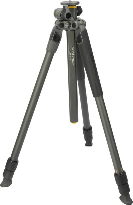Image du produit Vanguard Alta Pro2+ 263AP (Métal)