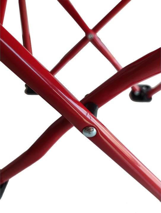 Actual product image Koor Ladybird